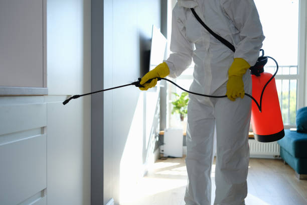 Best Mold Removal and Inspection  in Bent, NE